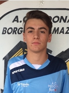 ARCOSTANZO ALBERTO
